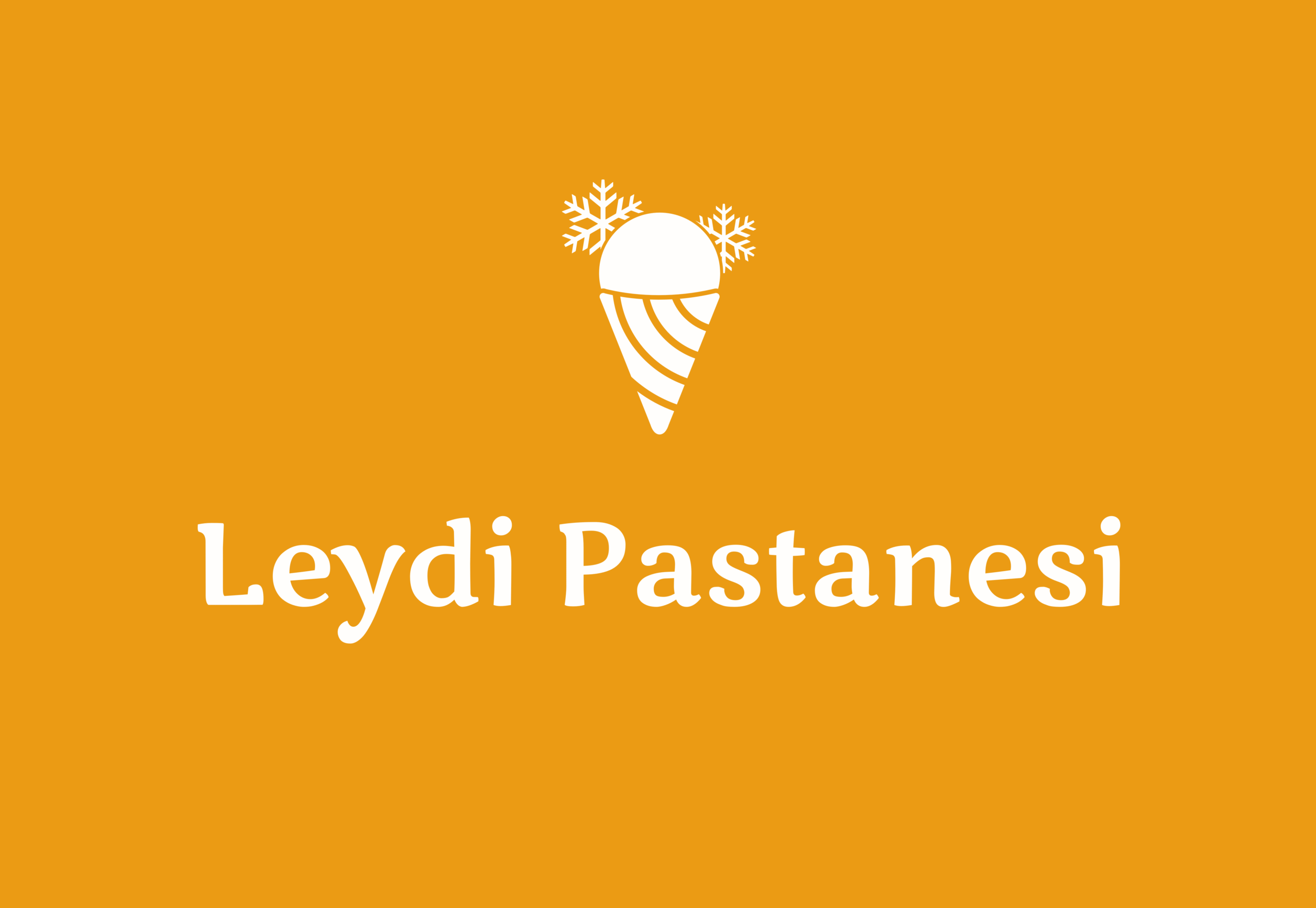 LEYDİ PASTANESİ